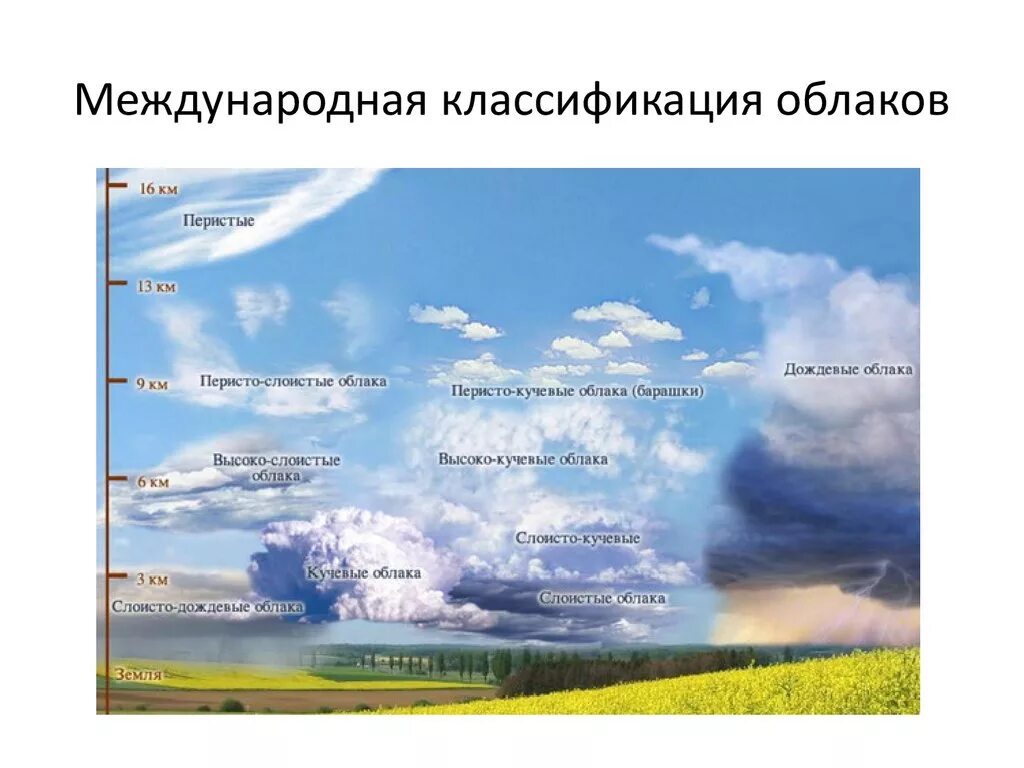 Международная классификация облаков. Классификация облаков метеорология. Облака Кучевые перистые Слоистые. Классификация облаков на латыни.