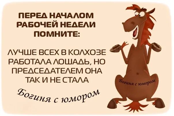 Последнюю рабочую неделю