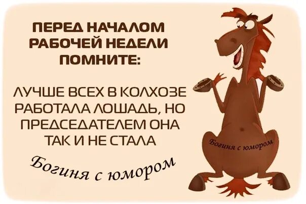 Рабочая неделя будет 2 дня. Лучше всех в колхозе работала лошадь. Перед рабочей неделей. С рабочей неделей картинки прикольные. Начало рабочей недели прикол.