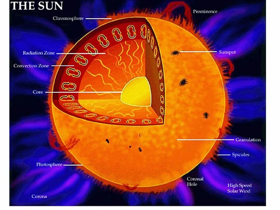 Строение звезды солнца. Строение солнца. Строение солнца астрономия. Внутреннее строение солнца. Физическое строение солнца.