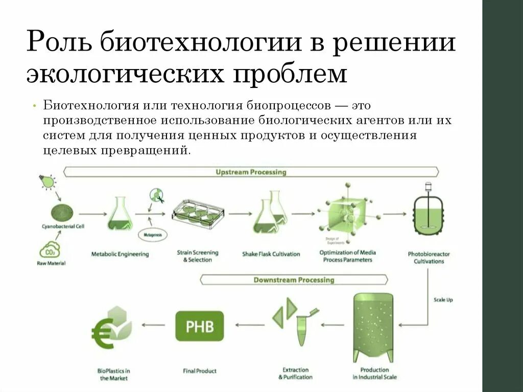 Биотехнология отзывы. Биотехнологии в решении экологических проблем. Роль биотехнологии в защите окружающей среды. Цветовая классификация биотехнологии. Какие вопросы решает биотехнология.