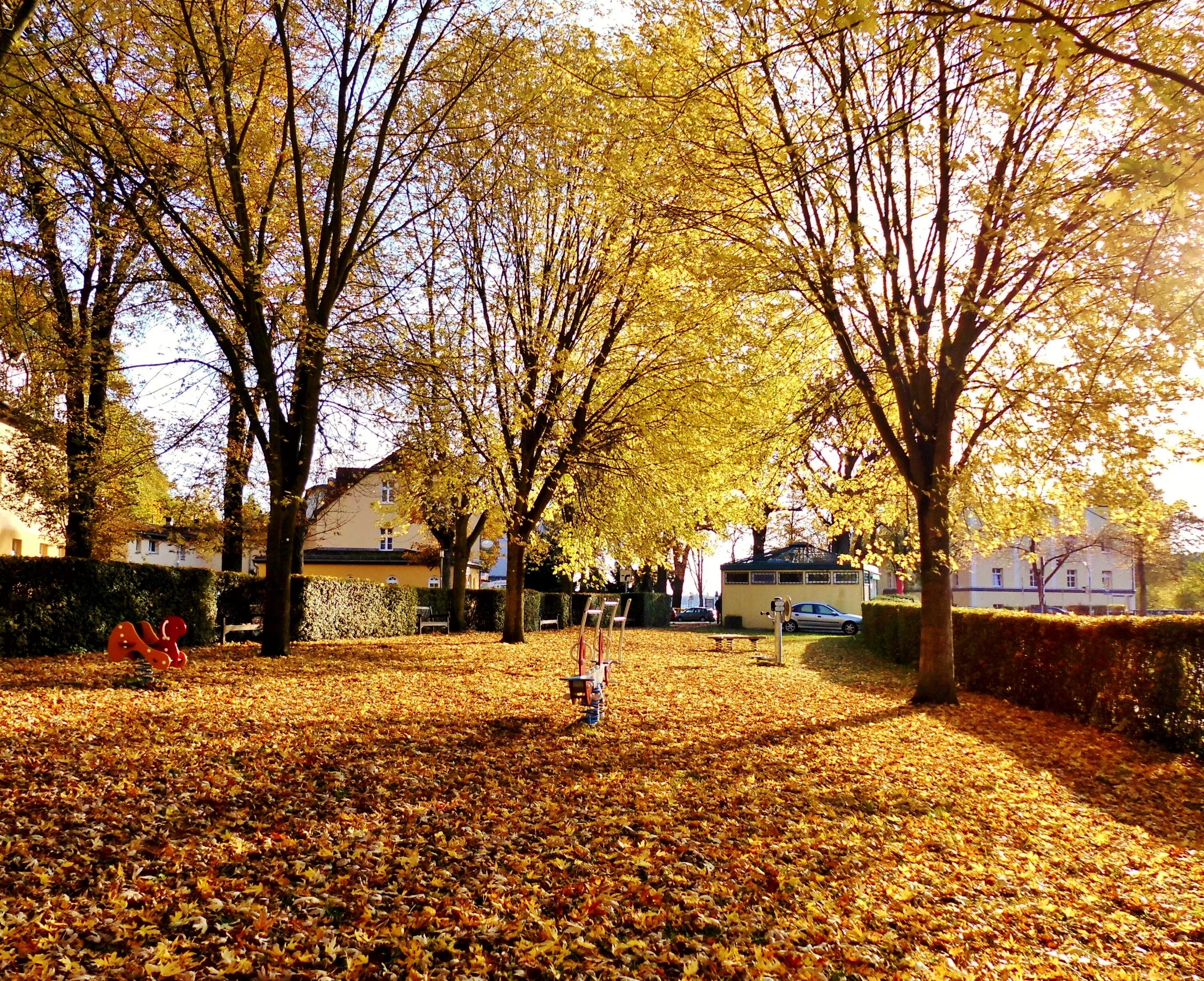Улица золотистая. Осень площадка. Детская площадка осень. Фон для осенней площадки. Осенний парк с детской площадкой.