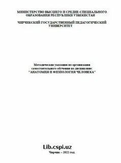 Методические указания по дисциплине