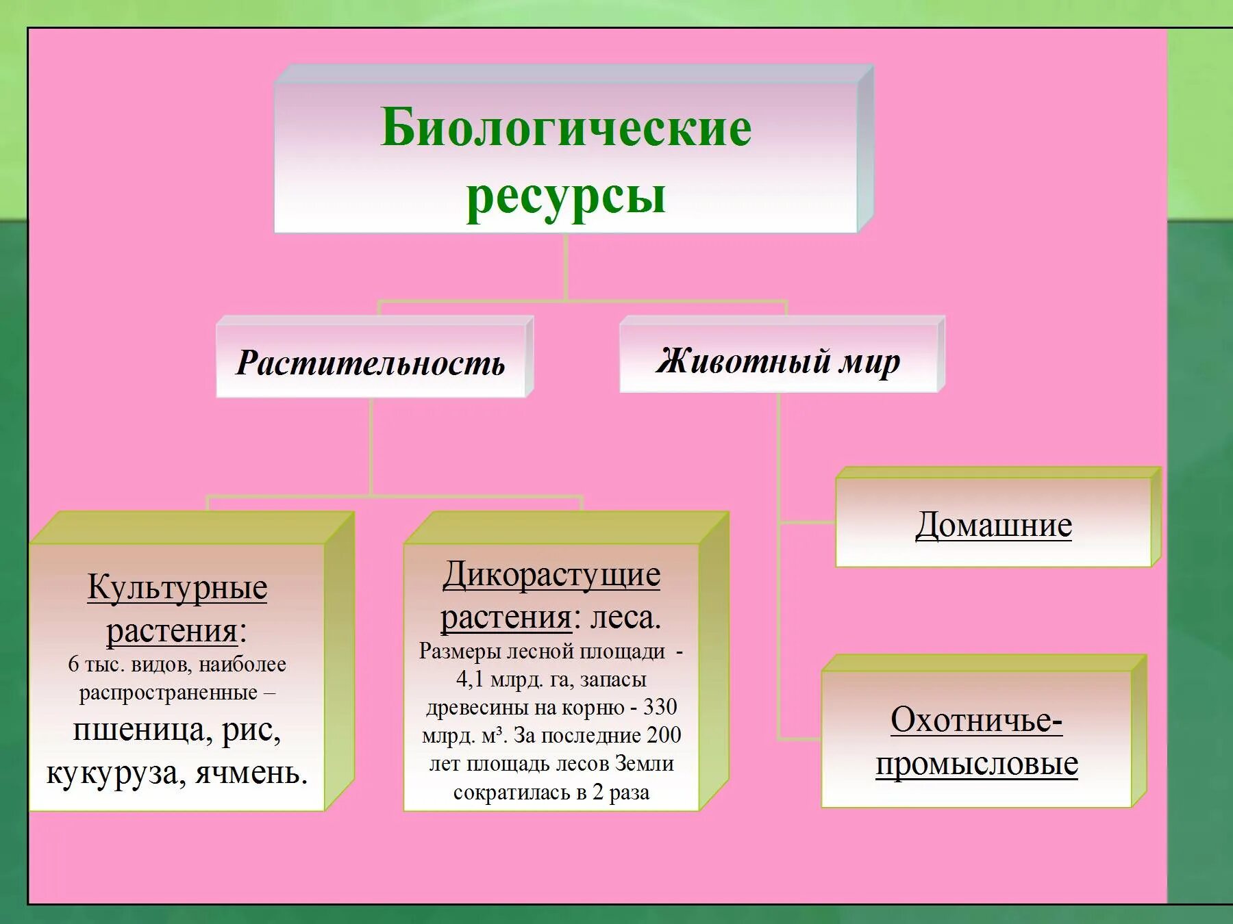 Состояние биологических ресурсов. Классификация биологических ресурсов схема. характеристика биологических ресурсов мира. природные ресурсы биологические ресурсы. биологические ресурсы мира.