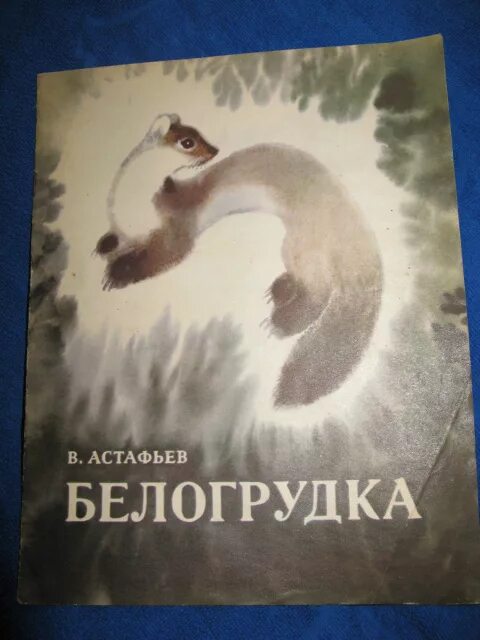 Белогрудка читательский дневник. Белогрудка Астафьев книга. Белогрудка Астафьев иллюстрации к произведению.