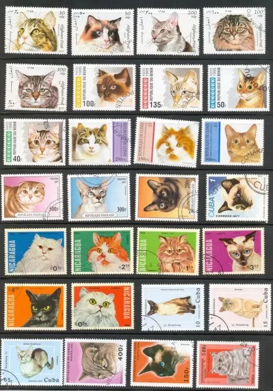 Stampworld com каталог. Коллекция марок с кошками. Марки порода кошек. Марки с котятами. Марки на тему собаки-кошки.