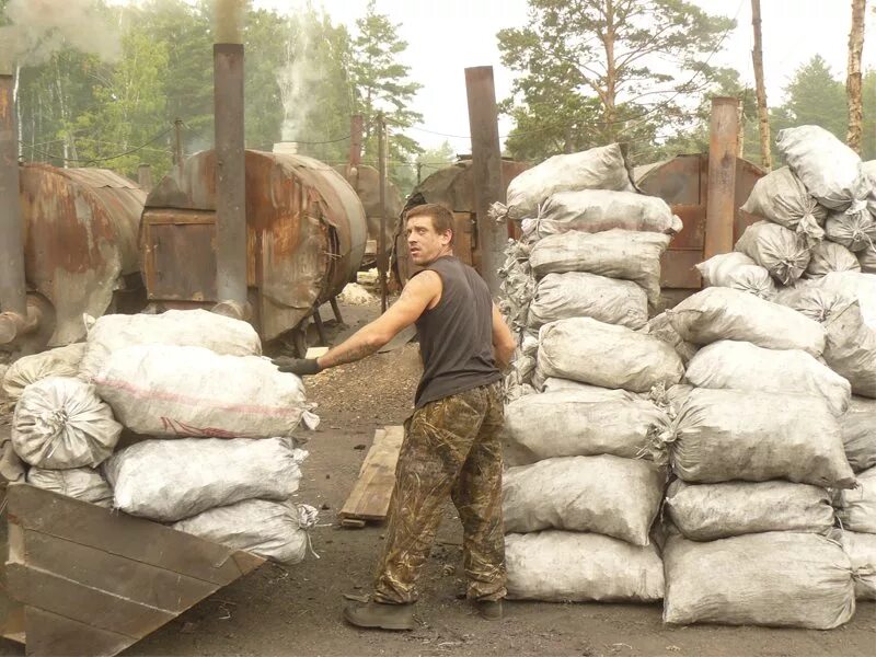 Залесовский уголь древесный. Сельский Новатор Залесово. Уголь на Алтае. Черёмушкино Залесовский район Алтайский край. Погода черемушкино алтайский край