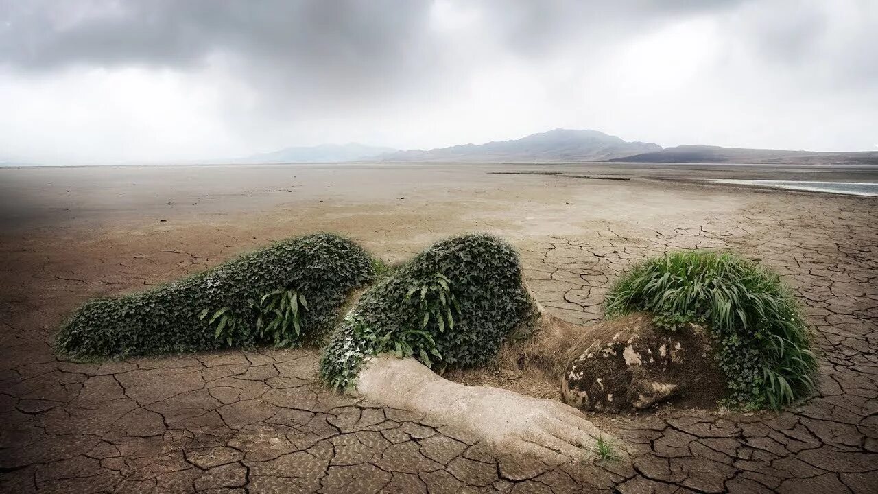 Environmental degradation. Water degradation. Загрязнение окружающей среды. Environmental degradation. Environmental degradation.