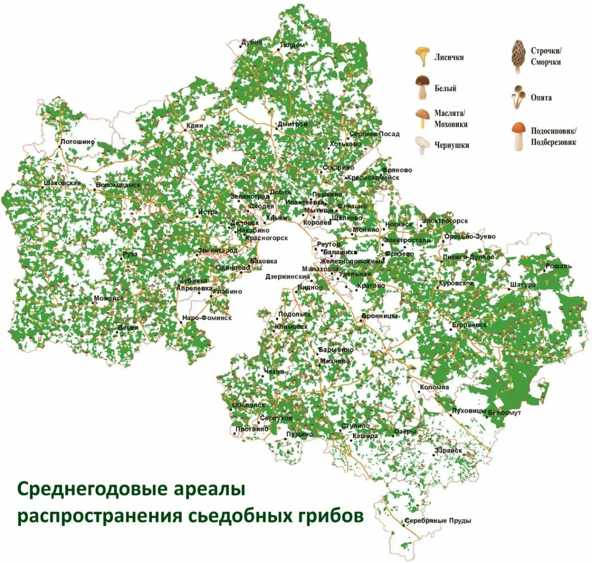 Где в подмосковье собирают. Карта лесов Московской области грибы. Карта грибных мест Московской области. Грибные места в Подмосковье 2021 на карте. Карта грибов Московской области 2023.