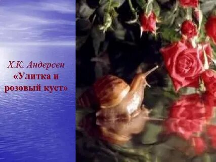 Улитка и розовый куст читать