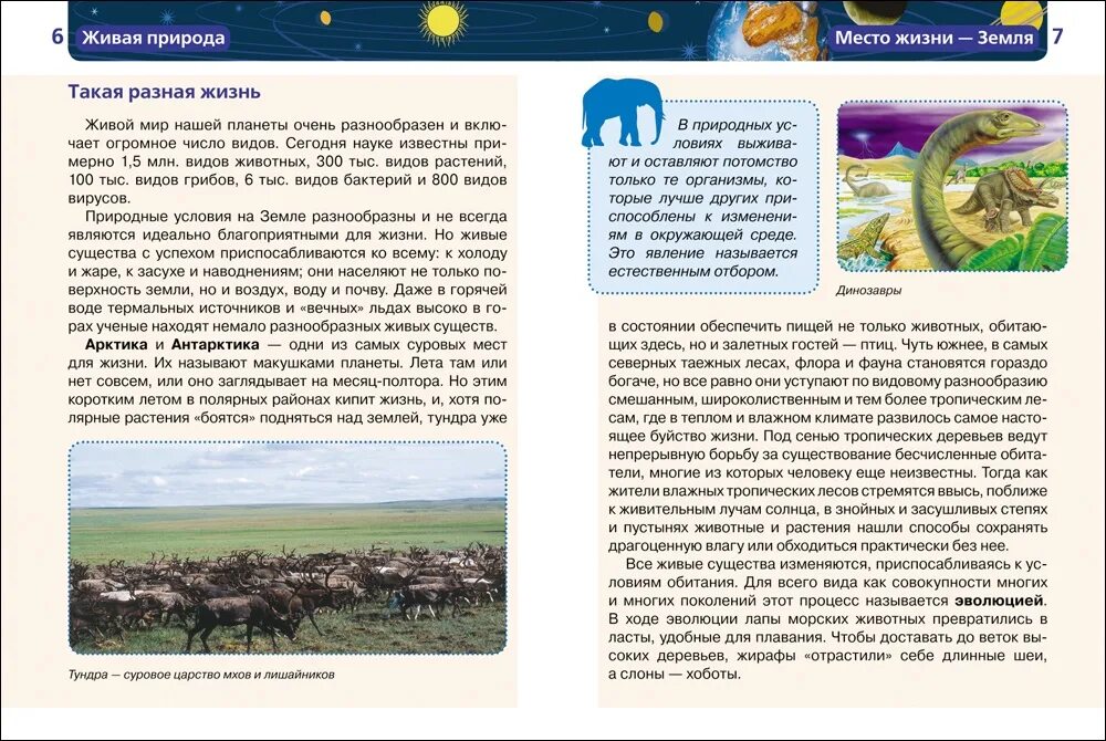 Что в тексте называют макушкой планеты
