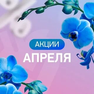 Апрель предложение