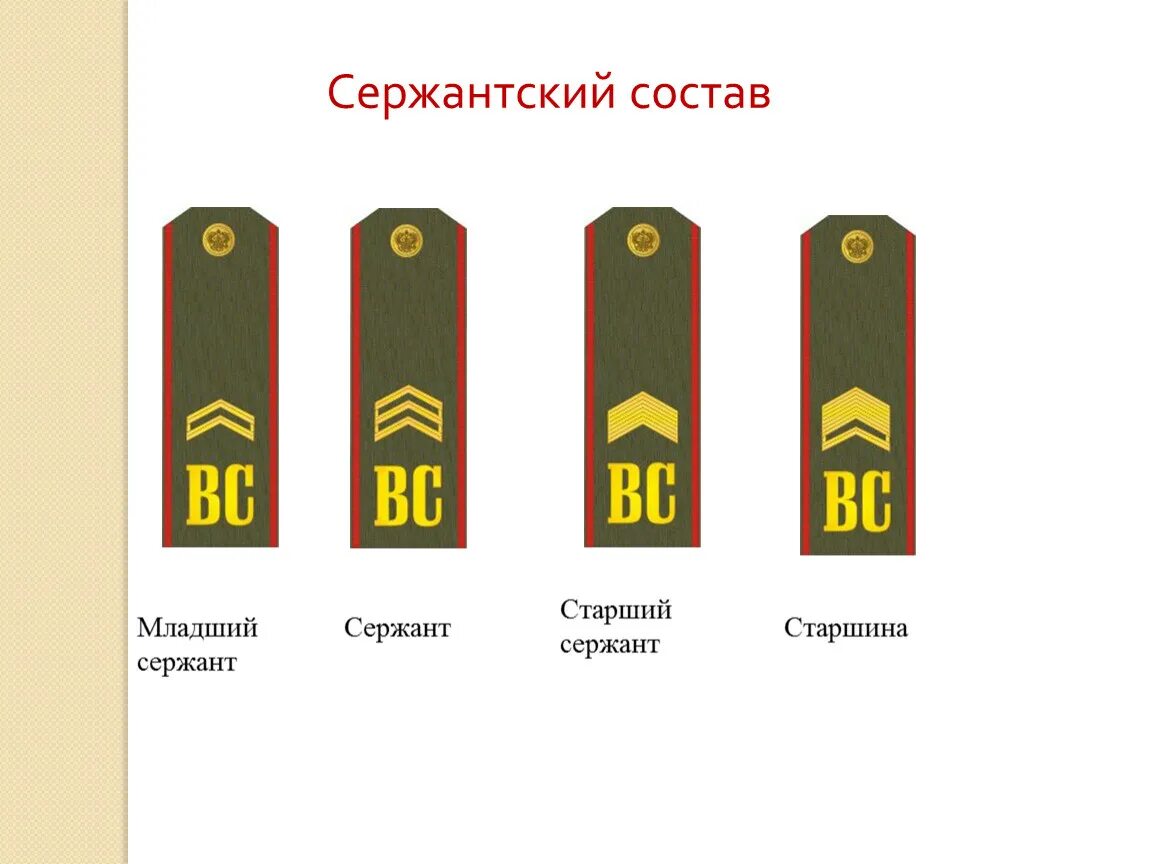 Погоны младшего состава. Младший сержант сержант старший сержант старшина. Младший сержант старший сержант. Погоны сержант младший сержант старший сержант. Младший сержант это сержантский состав.