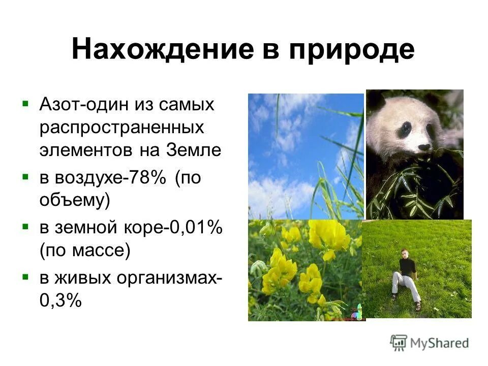 Азот в природе 9 класс. Нахождение в природе азота. Нахождение в природе азот в природе. Нахождение азота в природе химия. Где в природе встречается азот.