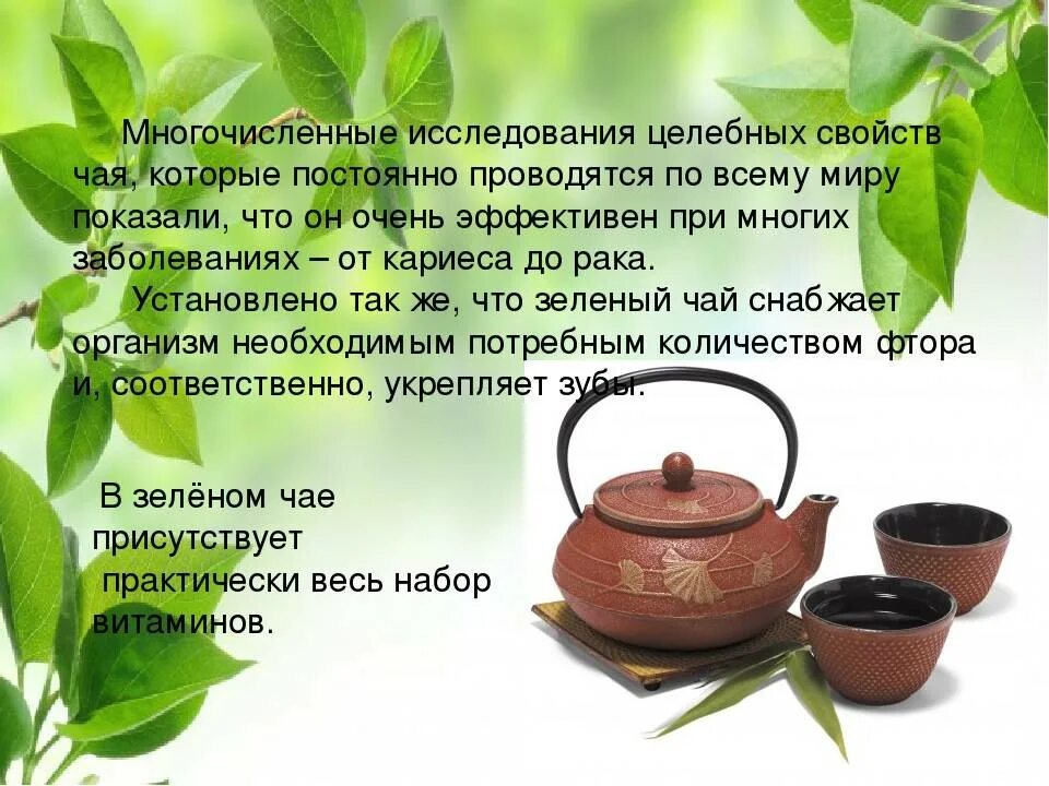 Польза чая. Вредный и полезный чай. Полезные свойства чая. Лечебный зеленый чай.