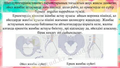 Үлкен, сүйкімді кеуделердің жақыннан жасалған фотосуреттері