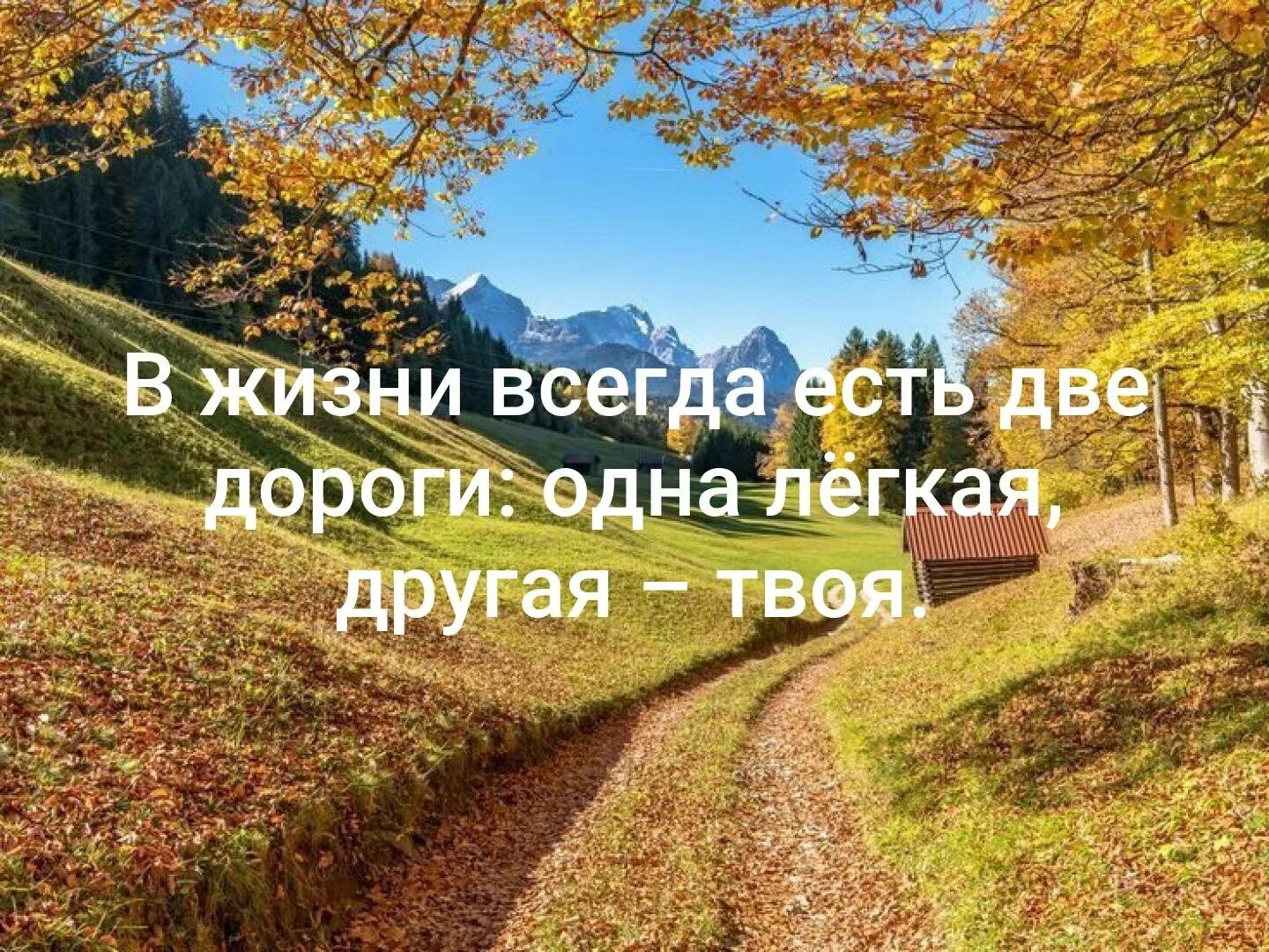 Всегда стать. В жизни всегда есть две дороги. Две дороги жизни. В жизни есть две дороги одна легкая. Есть дороги - есть жизнь.