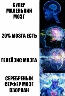 Мозг 20
