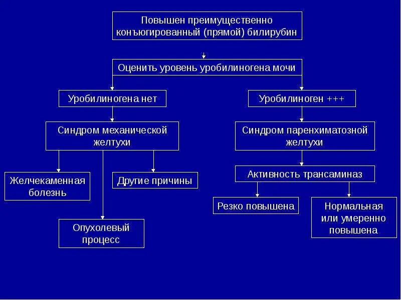 Билирубин заболевание. Причины повышения непрямого билирубина. высокий билирубин причины. причины повышения общего билирубина. прямой билирубин повышен причины.