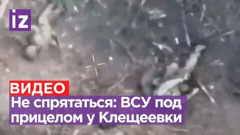 Группа клещеевка