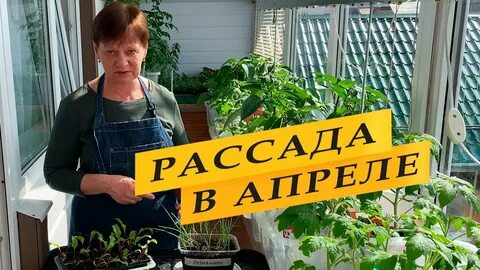 Апрель рассада