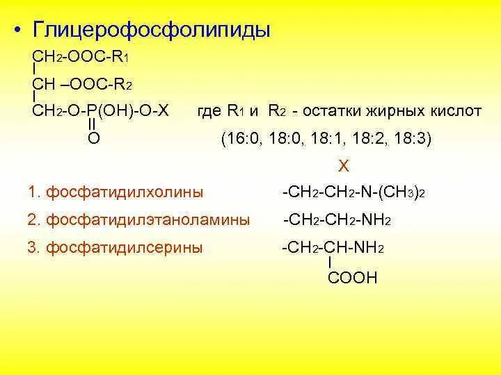 Кислота 16 0. Глицерофосфолипиды. Глицерофосфолипиды общая формула. Формула глицерофосфолипида. Структурная формула глицерофосфолипидов.