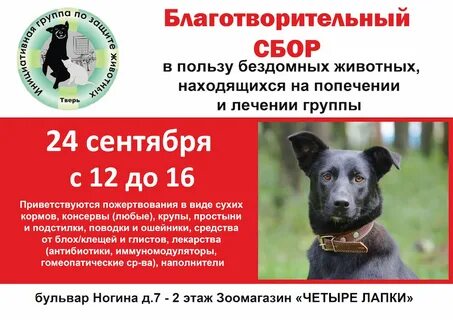 Помощь животным примеры