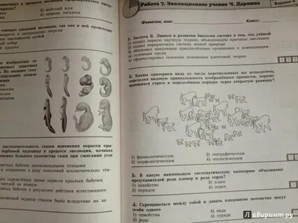 Gia test