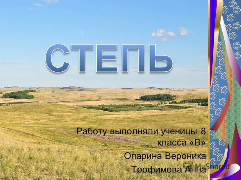 Степь презентация 4 класс. Характерные признаки степной зоны. Вопросы по теме степь. Тест по теме степи 4 класс. Тест по окружающему миру 4 класс зона степеней.