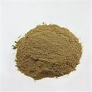 Celery seed приправа. Кориандр специя. Кориандр молотый (coriander powder) 1 кг. Кориандр молотый приправа. Кориандр молотый фото.