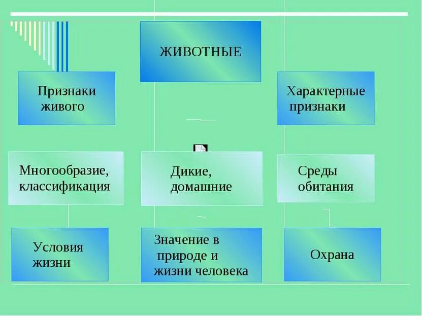 Характерные особенности живого. Многообразие признаки. Характерные признаки живого. Разнообразие признака. Признаки живых существ.