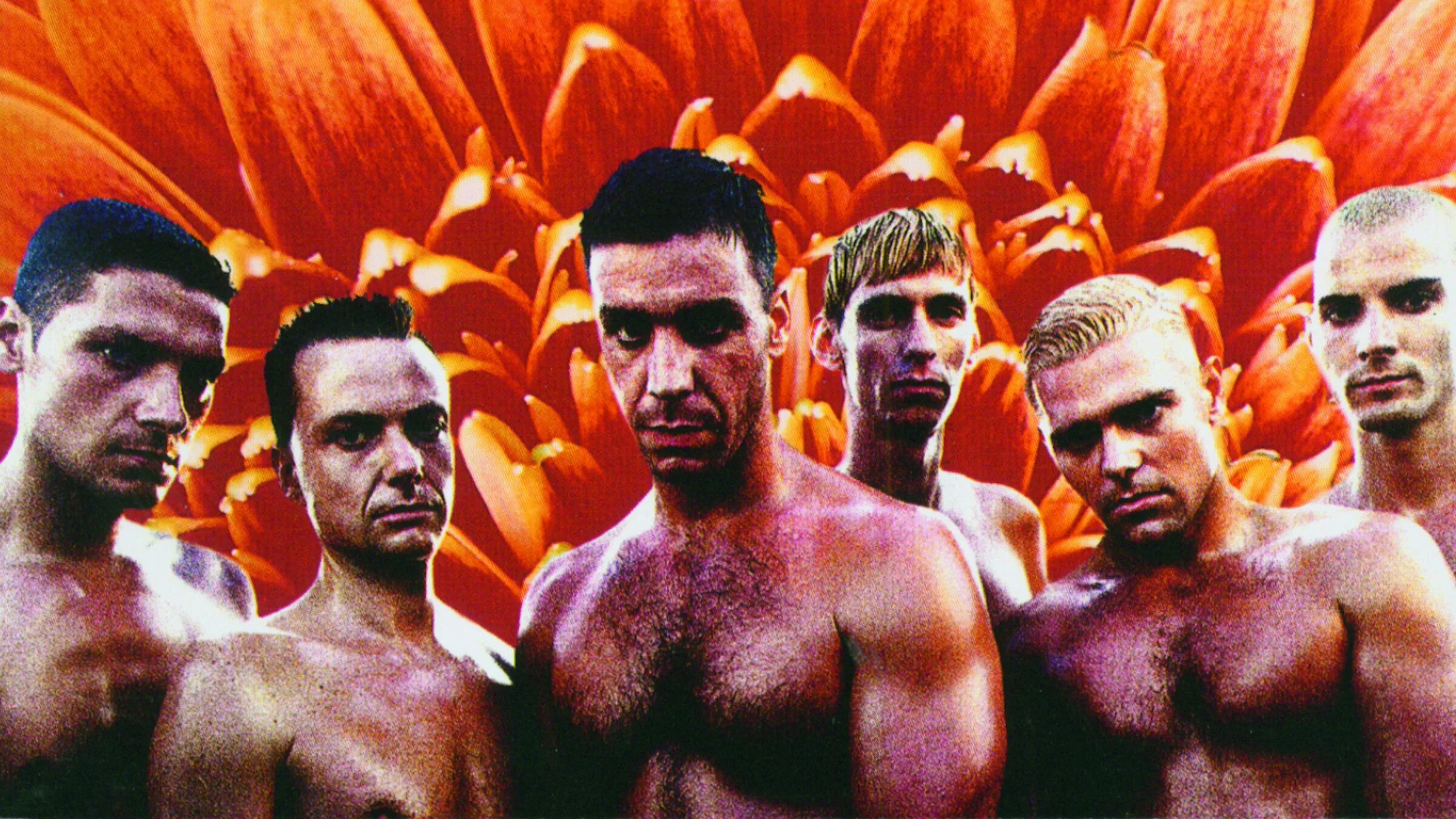 Das ist rammstein. Rammstein. Herzeleid. Тилль Линдеманн 1995 Herzeleid. Обложка Rammstein 1995. Тилль Линдеманн Rammstein 1995.