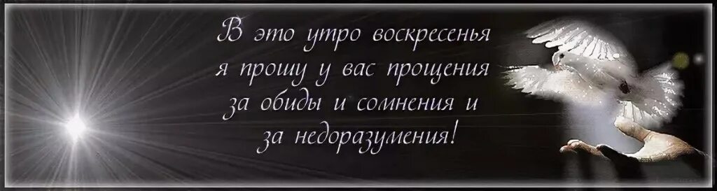 К чему снится бывший просит прощения. С прощенным воскресеньем. прости меня прощеное воскресенье. прошу прощения. прошу прощения у всех.