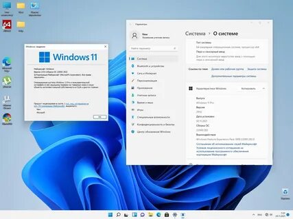 X 11 windows