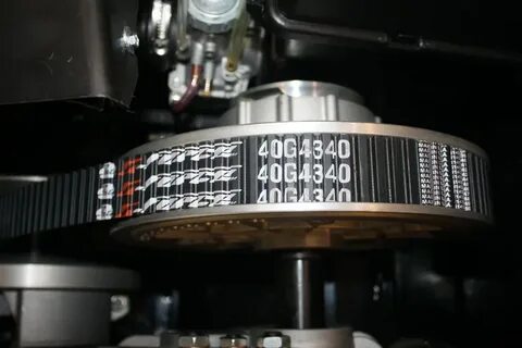 Ремень тайга варяг 500