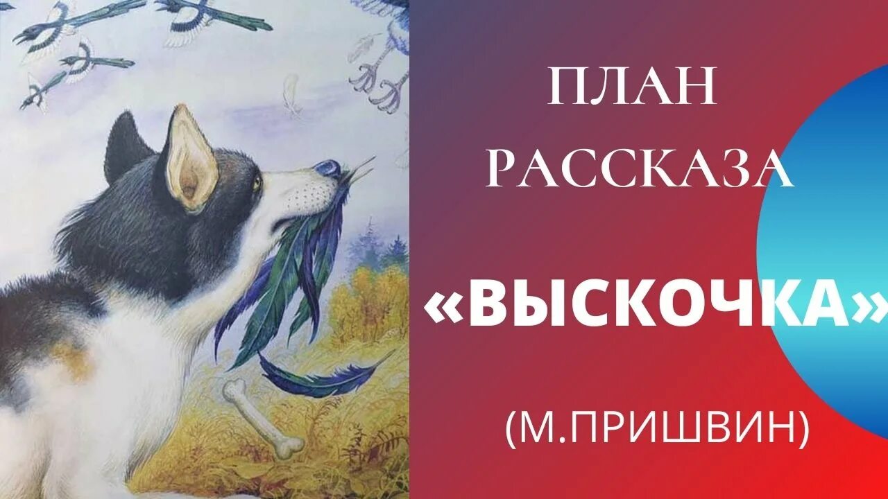 Как рассказчик относится к вьюшке и выскочке. Иллюстрация к произведению Михаила Пришвина выскочка. Произведение выскочка. Пришвин пришвин выскочка план. М пришвин выскочка.