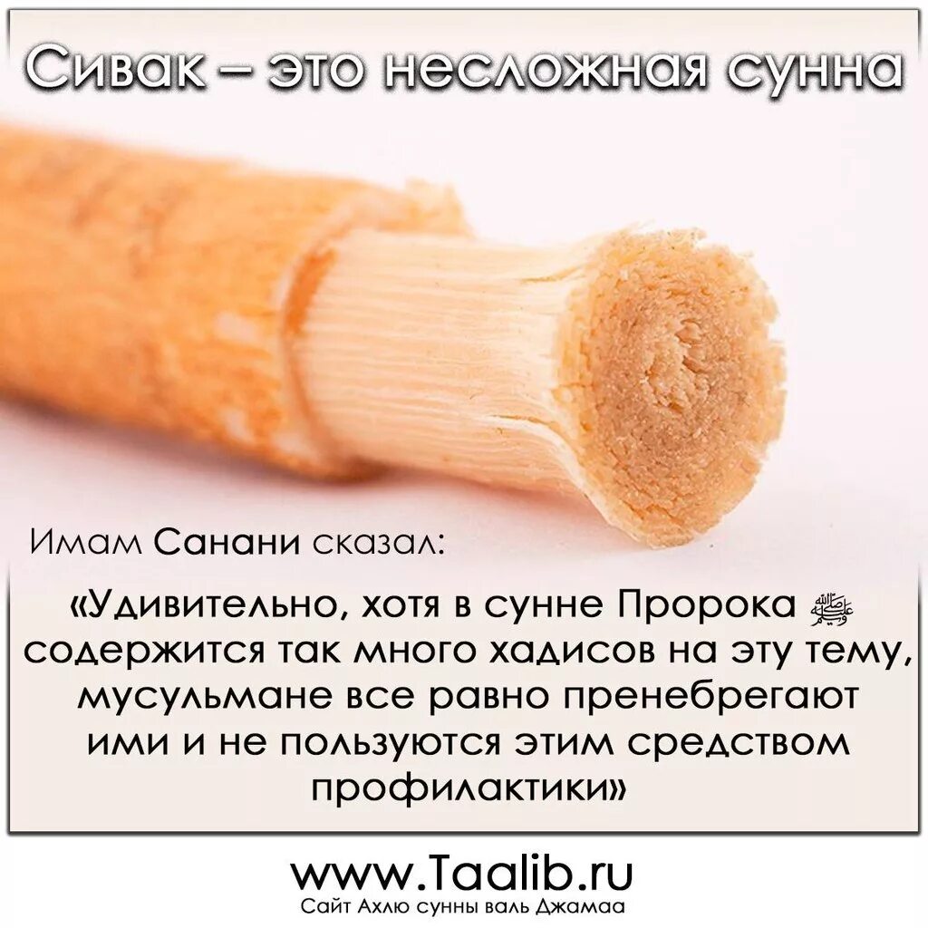 Севак солнце