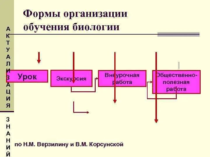 Организационные формы изучения методики обучения биологии в вузе. Формы организации обучения биологии. Система форм преподавания биологии. Формы организации учебной работы по биологии. Урок как основная организация обучения