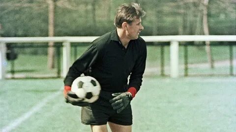 Лев играет в футбол