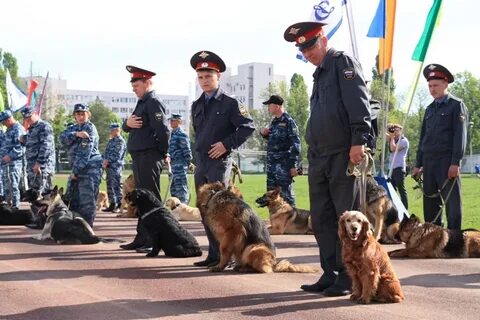 Кинолог екатеринбург