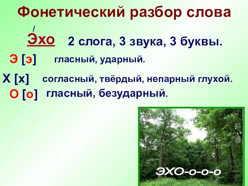 10 слов 2 слога. Звуковой анализ слова эхо. фонетический разбор слова эхо. звуко буквенный анализ слова эхо. эхо фонетический анализ.