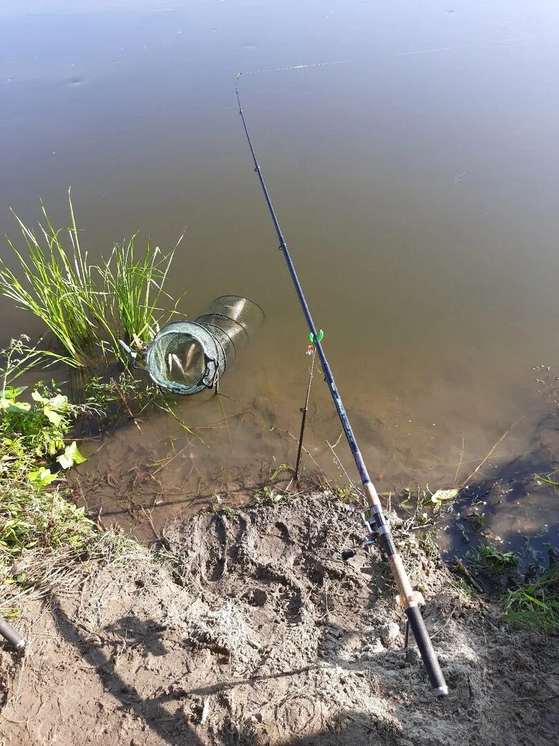 Рыболовство фото. Платный пруд мордовия. Платный пруд мордовия. Пруд солдатский саранск. На рыбалке по мордовии.