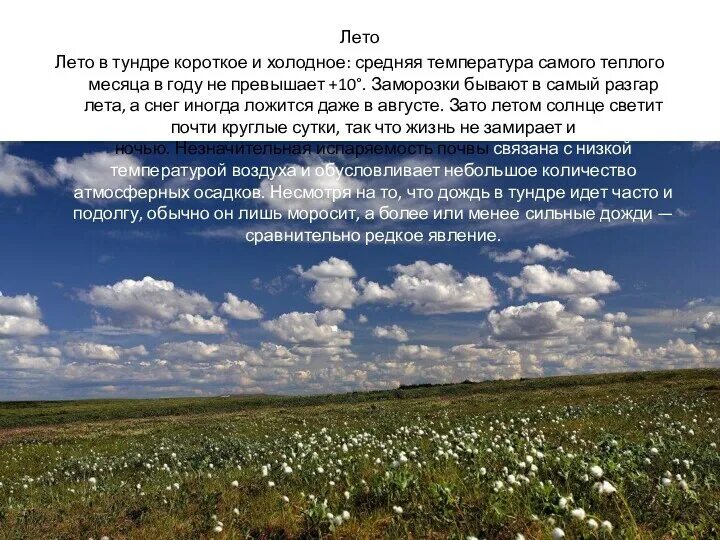 В тундре какая зима и какое лето. Климат тундры лето. климат тундры летом. осадки в тундре летом. презентация тундра летом.