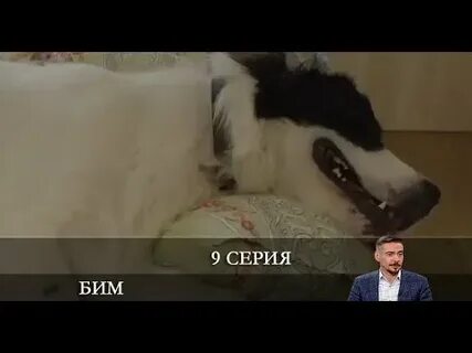 Бим выход серий