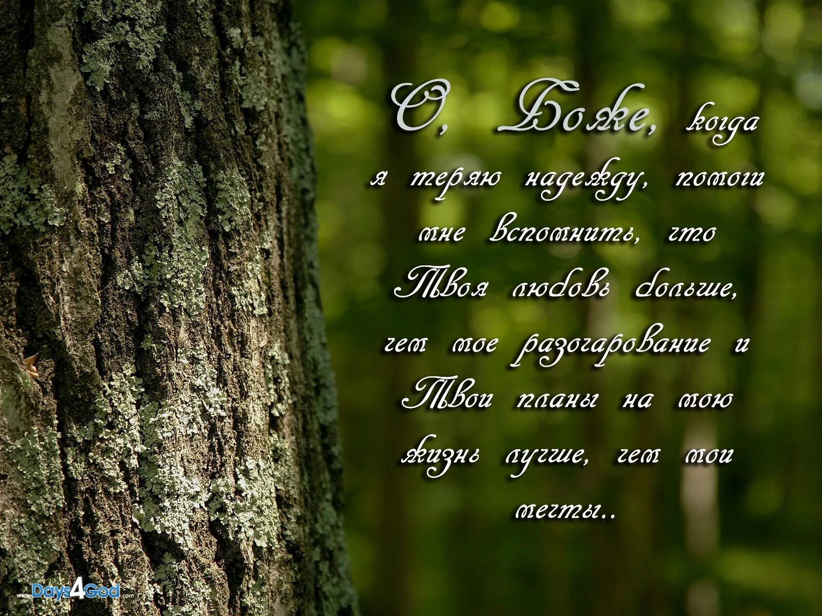 Христианские открытки с цитатами из библии. Открытки со стихами из библии. Стихи из библии. Открытки со стихами из библии. Стихи из библии в картинках.