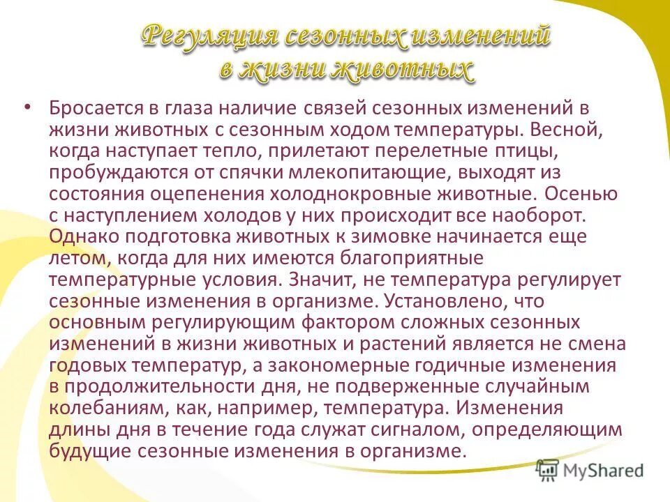 Что является сигналом сезонных изменений. Сезонные изменения в жизни животных. Сезонные явления в жизни животных. Сезонные явления в жизни растений и животных. Сезонные изменения в жизни животных презентация.