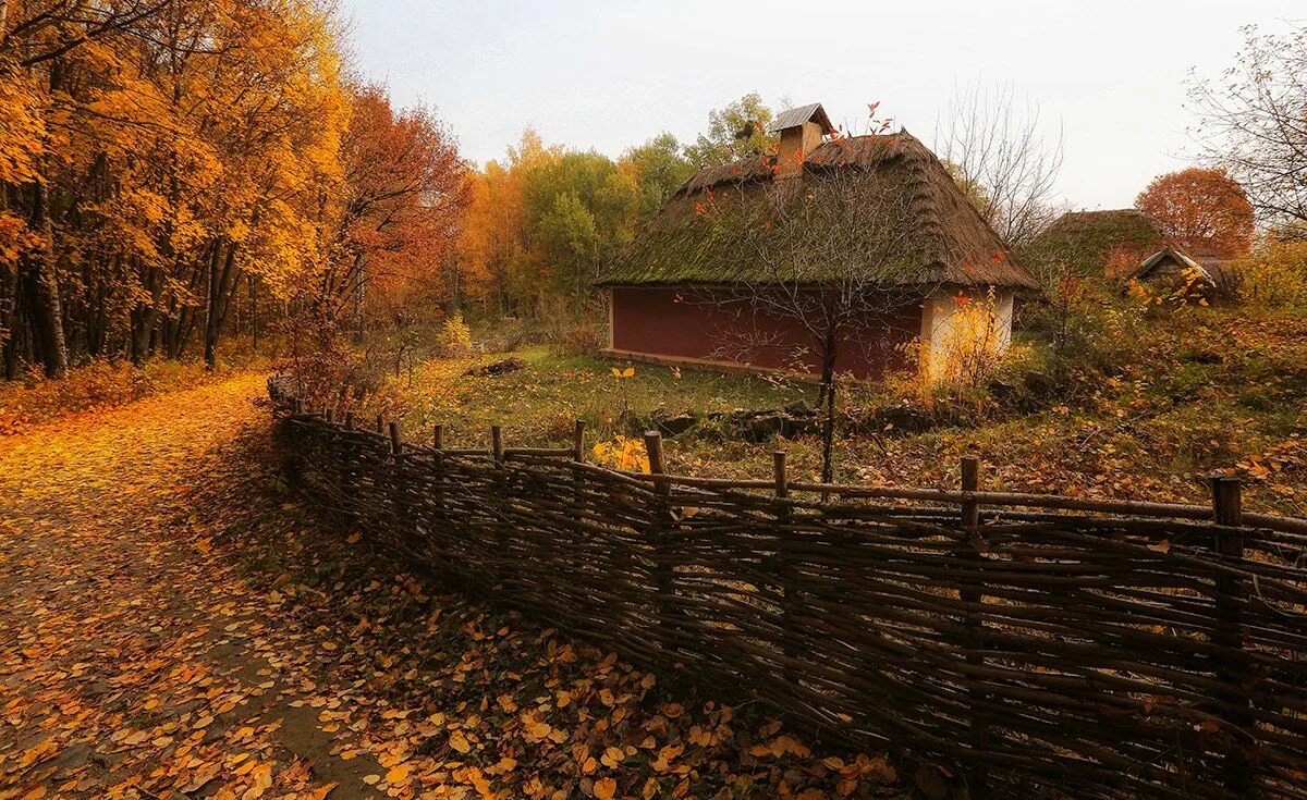 Осень в деревне. Сельский пейзаж. Осенняя деревня. Осенний деревенский пейзаж.