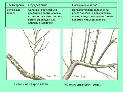 Как удалять волчки