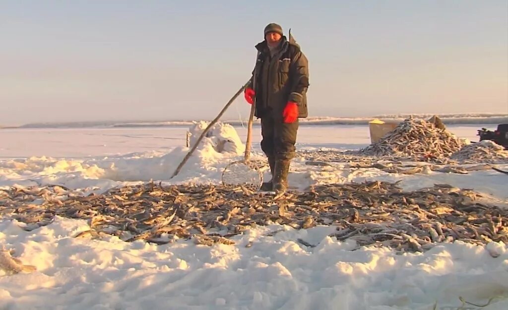 Рыбалка на севере главная архангельск. Рыбалка на севере. Рыбаки на севере. Рыбалка на севере зимой. Рыболовство в Сибири.