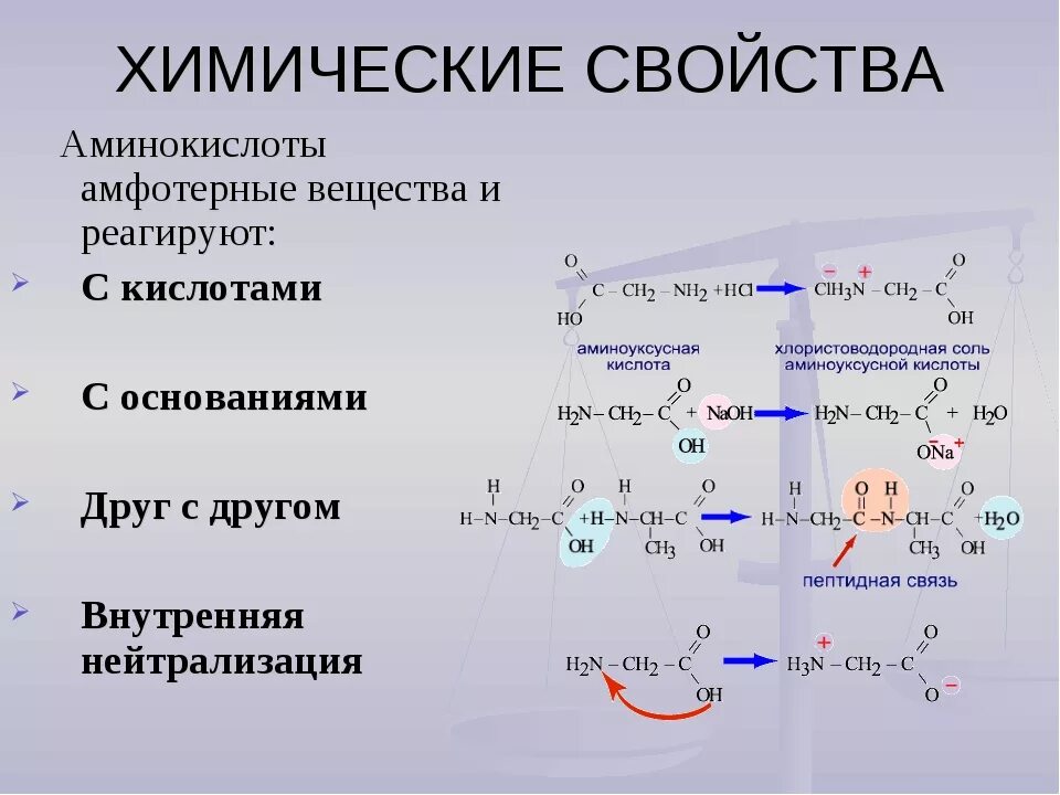 Химические реакции аминокислот + со2. Характерные химические свойства Аминов и аминокислот?. Аминокислоты химические свойства со щелочами реакция. Химические свойства α-аминокислот. Напишите реакцию глицина